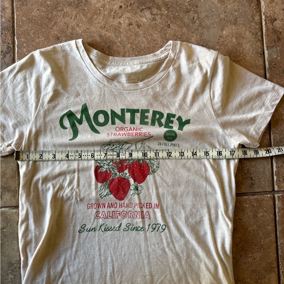 J.Crew Graphic Strawberries Collector Tee - Picture 5 of 8